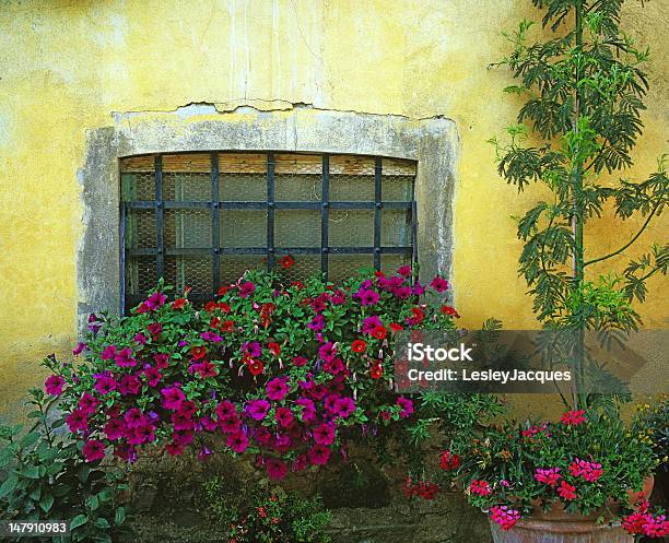 Rústico Ventana Toscana Foto de stock y más banco de imágenes de Italia - Italia, Jardinera de ventana, Apertura