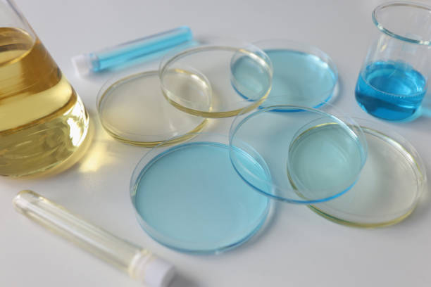 istock Laboratory glassware with colored liquids on lab table close up. 1479109846