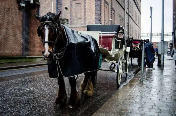 A traditional horse-drawn carriage parked on a cobblestone street