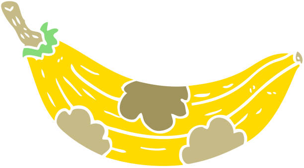 Rotten Fruits Clipart Preschool
