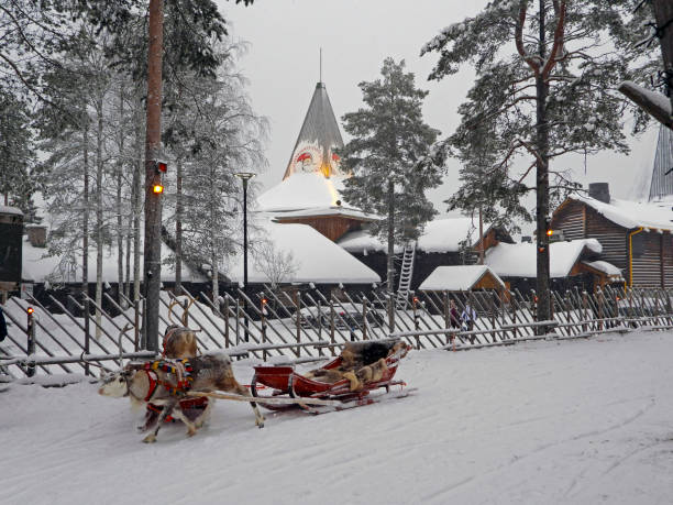 雪に覆われたサンタクロース村のトナカイ、ロヴァニエミ、フィンランド