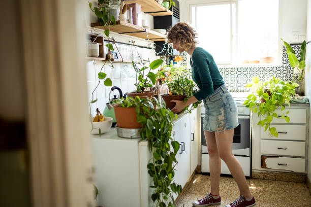 istock Taking care of plants 1479112959