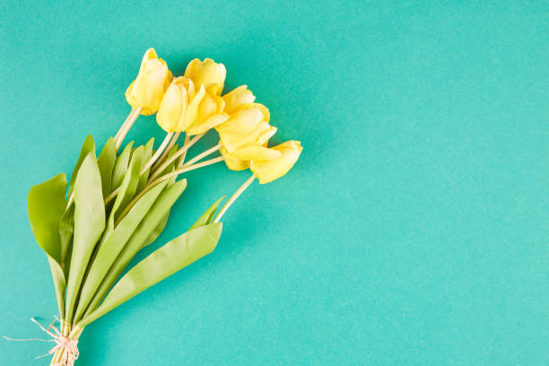 istock Yellow Tulips Over Green Background 1479113351
