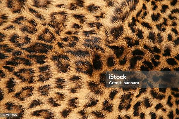 Foto de Pele De Leopardo e mais fotos de stock de Leopardo - Leopardo, Pelo Animal, Texturizado - Efeito Fotográfico