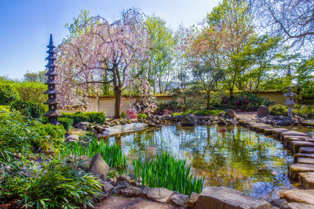 istock View on Japanese garden in Kaiserslautern 1479117741