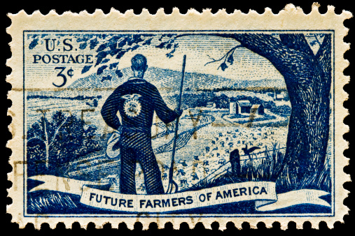 Agriculture scene and future farmer postal stamp issued in 1953.