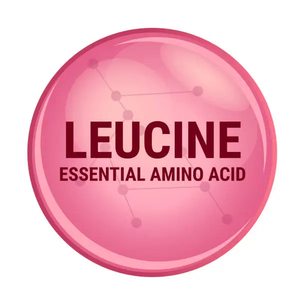 Vector illustration of Vector icon of leucine. Essential amino acid with the abbreviation Leu. L amino acid used in the biosynthesis of proteins. Food and nutrition concept.