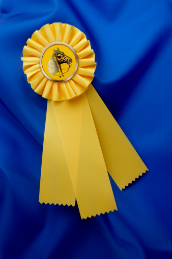Yellow horse show ribbon shot on silky, shiny, blue material