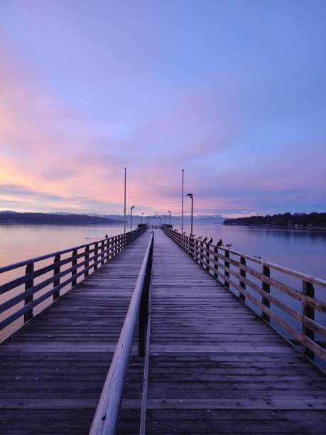 istock a pier with birds on it as the sun goes down 1479121824