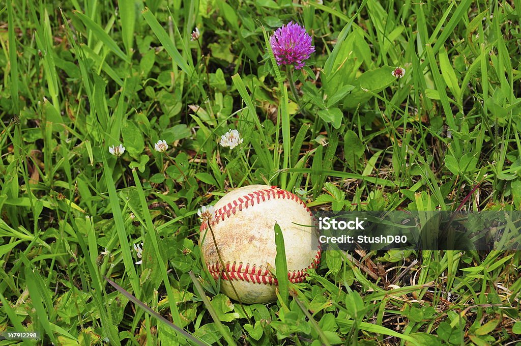 Baseball in campo - Foto stock royalty-free di Baseball