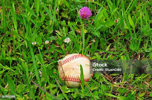 Baseball In Campo - Fotografie stock e altre immagini di Baseball - Baseball, Composizione orizzontale, Fotografia - Immagine