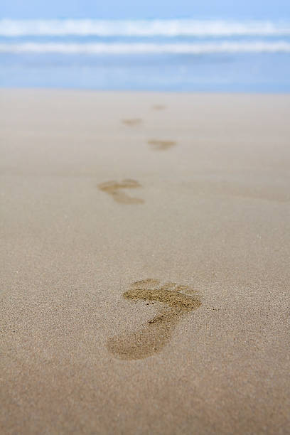 istock Footprints in sand leading to the ocean 147912310