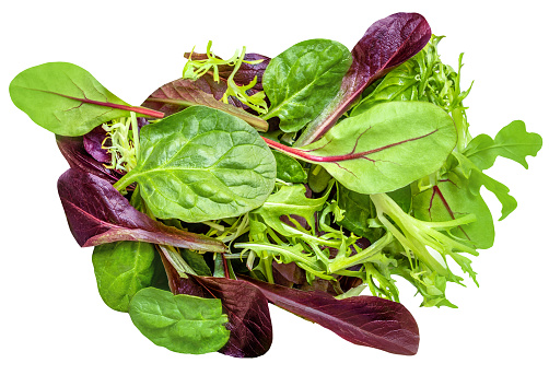 Salad leaves mix  isolated on white background. Salad with rucola, spinach,  radicchio and lamb's lettuce top view, flat lay. Creative layout