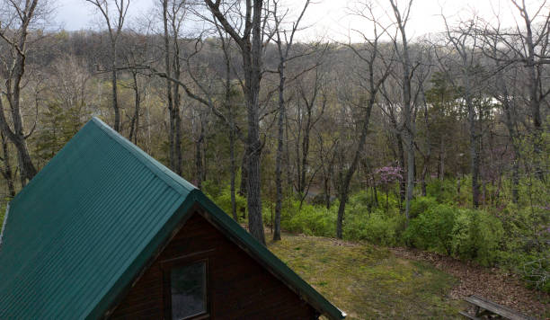 istock Cabin in the Woods 1479125634