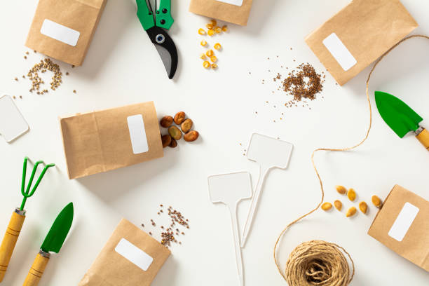 istock Seeds in paper bags and garden tools on a white background 1479125667
