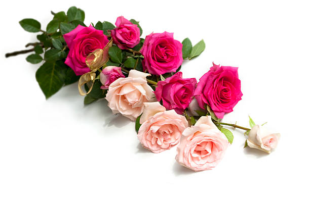 istock Bouquet of roses 147912671