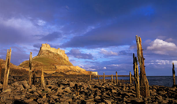 вечерний свет на линдисфарн - lindisfarne стоковые фото и изображения