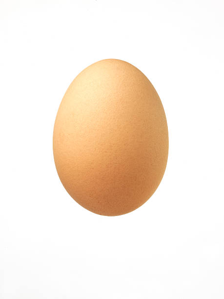 egg on white stock photo