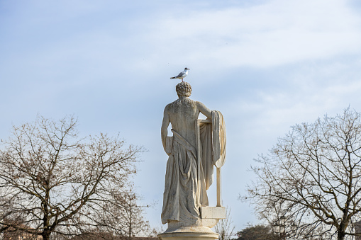 A seagull perched on the head of a statue at Prato Della Valle square, in Padua city center, Italy