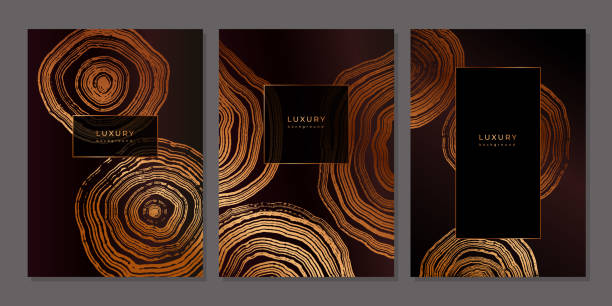 나무 반지 질감이 있는 고급 황금 배경 세트 - bark backgrounds textured wood grain stock illustrations