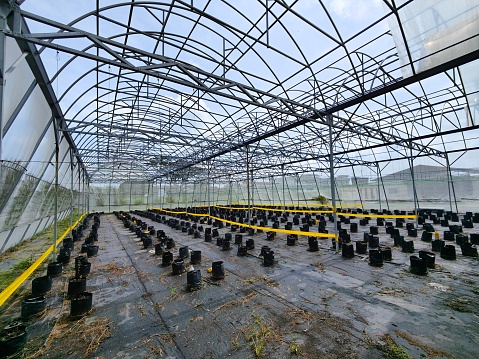 Organic agriculture greenhouse farm