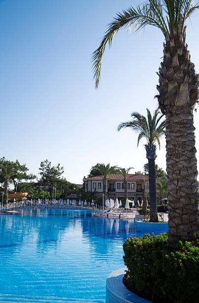 istock palms and pool in tourist resort 147913754
