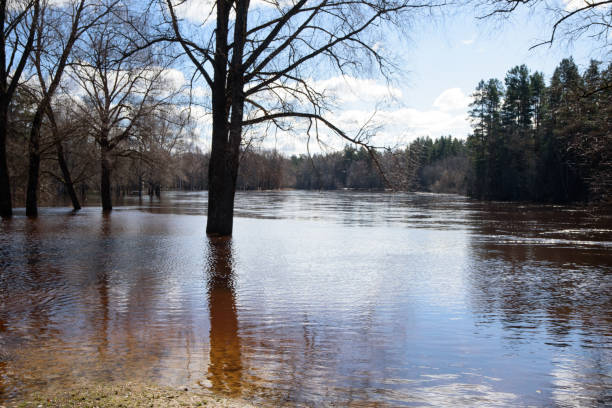 istock a flooded river with trees in the water on a sunny spring day 1479140668
