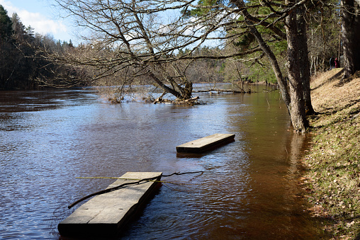 a flooded river with trees, where you can see benches in the water on a sunny spring day