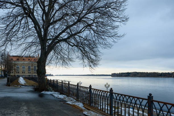 quai de rybinsk avec vue sur la volga et un bel arbre près du bâtiment du musée. - museum monument silhouette tree photos et images de collection