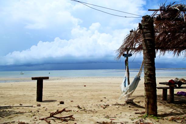 istock Wooden tent with hammock on tropical beach 1479142445