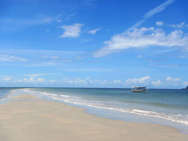 istock Sand and sea under blue sky. Sand walkway in low tide 1479142527