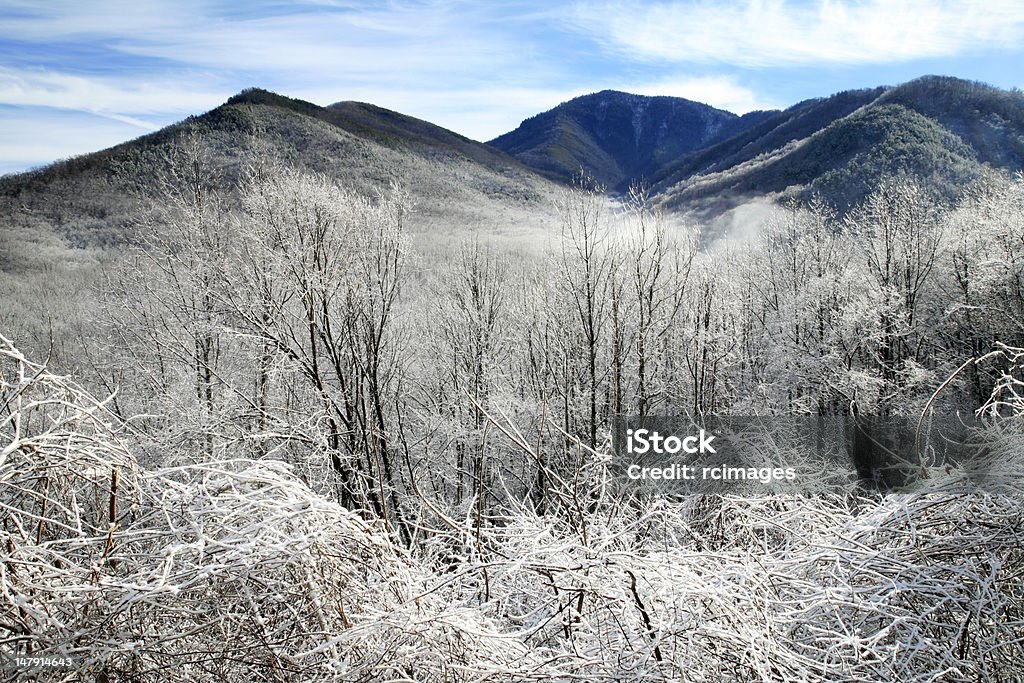 Inverno, great smoky mountains - Foto de stock de Montanhas Great Smoky royalty-free