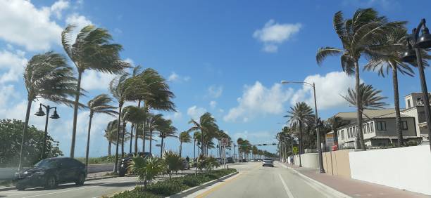 istock Coastline road in fort Lauderdale Florida 1479147328