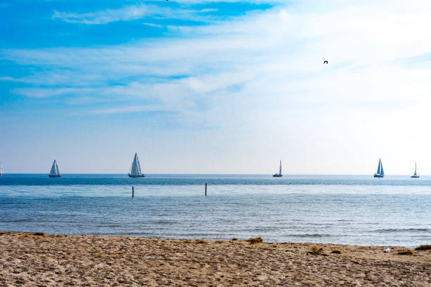 sailboats at sea