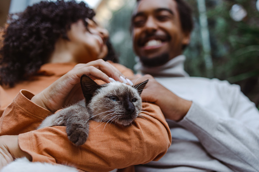 African American young couple enjoying at home with their cat