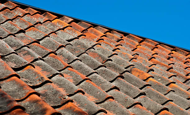 istock Old roof tiles 147915822