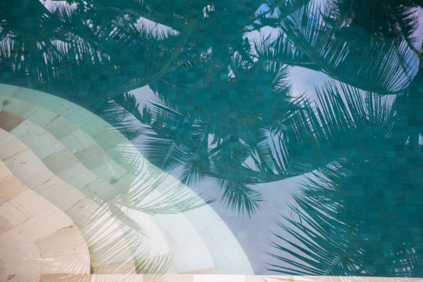 Reflection of coconut trees and palm trees in turquoise color swimming pool
