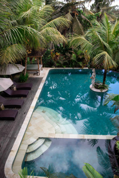 vista dall'alto del resort con piscina e riflesso di palme e cielo in esso - luxury hotel palm tree lush foliage asia foto e immagini stock