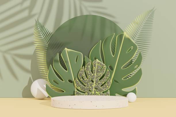 istock 3d abstract white platform showcase for product and cosmetic presentation with terrazzo idea concept. Minimal Podium for mock up and advertising. Render geometric design scene for web banner. 1479161496