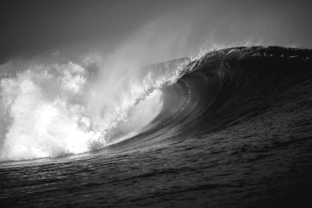 istock Grayscale powerful wave crashing towards the shore, its white foam illuminated by the sun 1479162197