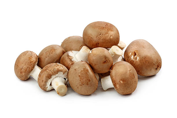 marrón champignons - edible mushroom white mushroom isolated white fotografías e imágenes de stock