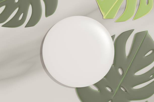 istock 3d render top view of white blank cylinder frame for mock up and display products with shadows of palm leaves with summer background. 1479164742
