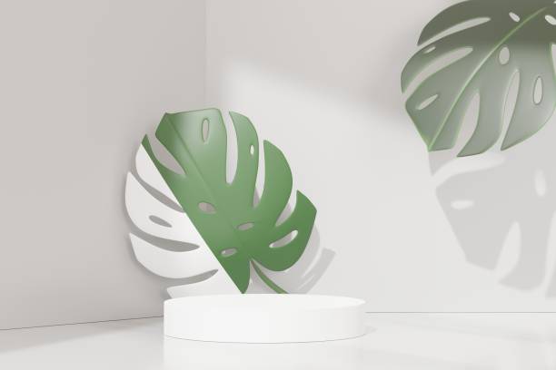istock 3d abstract white platform showcase for product and cosmetic presentation with terrazzo idea concept. Minimal Podium for mock up and advertising. Render geometric design scene for web banner. 1479164895