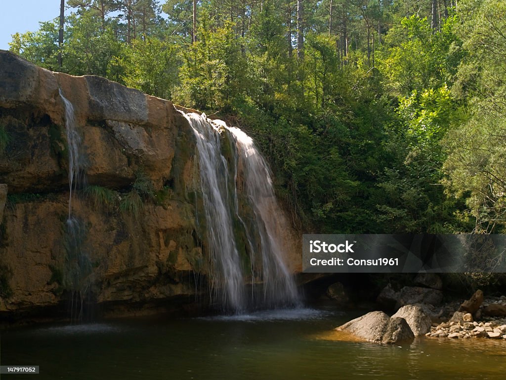 Charco - Foto de stock de Agua libre de derechos