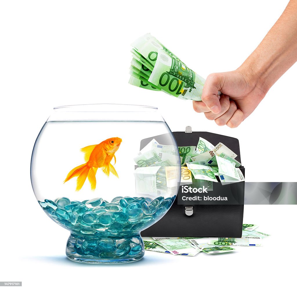 Золотая рыбка, деньги в руке и портфель - Стоковые фото Аквариум роялти-фри