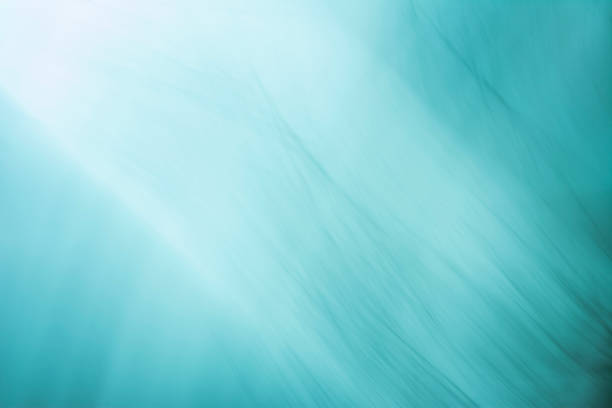 istock Abstract morning grass in the fog 1479172570