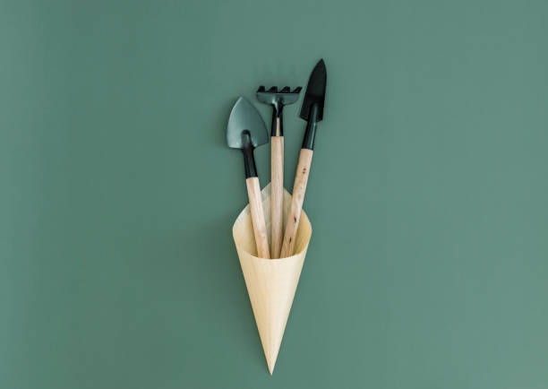 istock Three gardening tools in a wooden cone on green. 1479176278