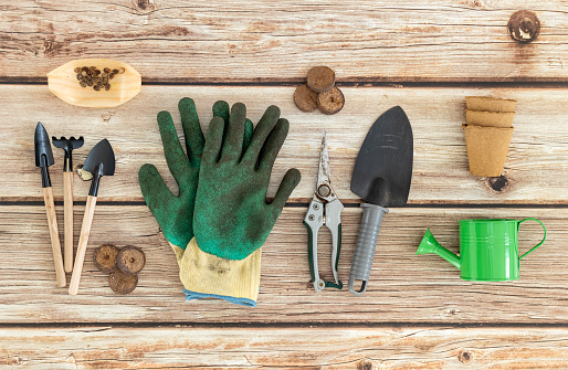 A Set Of Gardening Tools On A Wooden Table Stock Photo - Download Image Now - Agriculture, Backgrounds, Banner - Sign - iStock