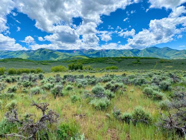 istock Summer in Park City 1479180590