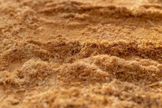 Sawdust Close-Up- High-Quality Carpentry Texture for Woodworking Enthusiasts and Professionals